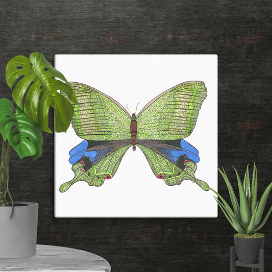 Arcturus Swallowtail [Canvas]